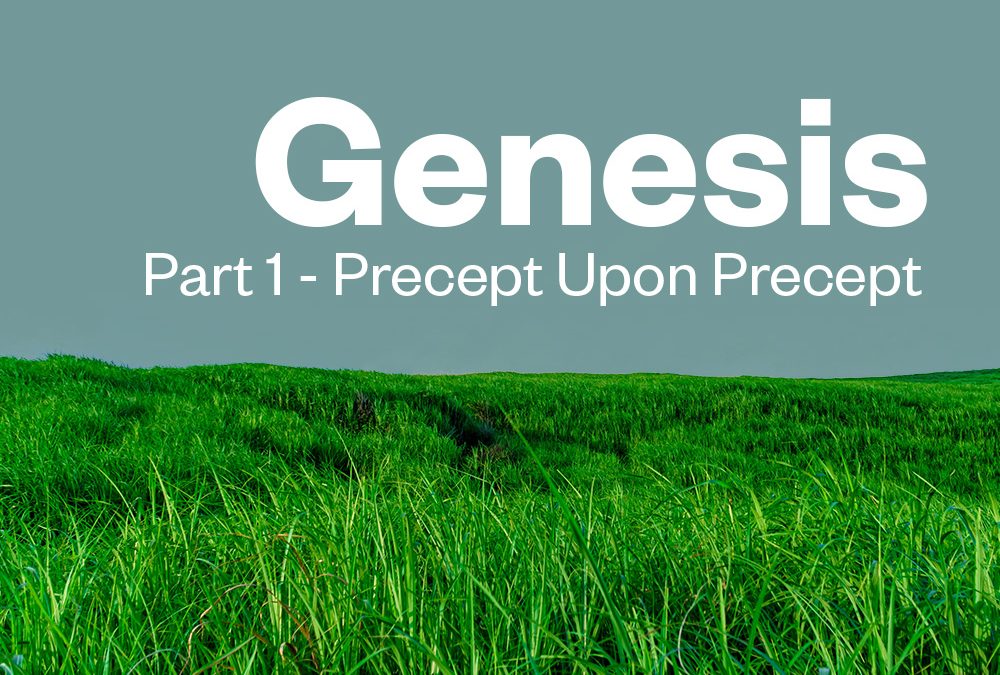 Genesis Part 1 — Thursday Evenings