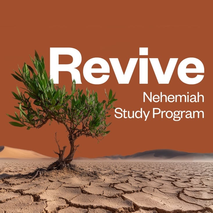 ReviveRed