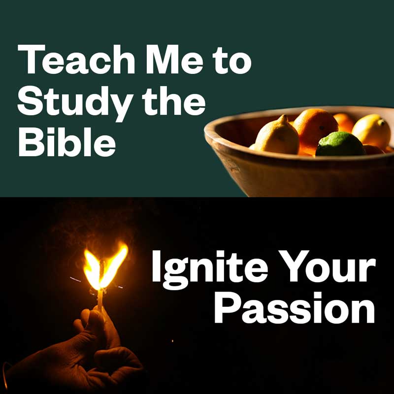 Study-Bible-Ignite-bundle-workshop